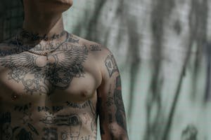 Detailed close-up of a tattooed male torso with varied designs, captured in soft shadowed lighting.